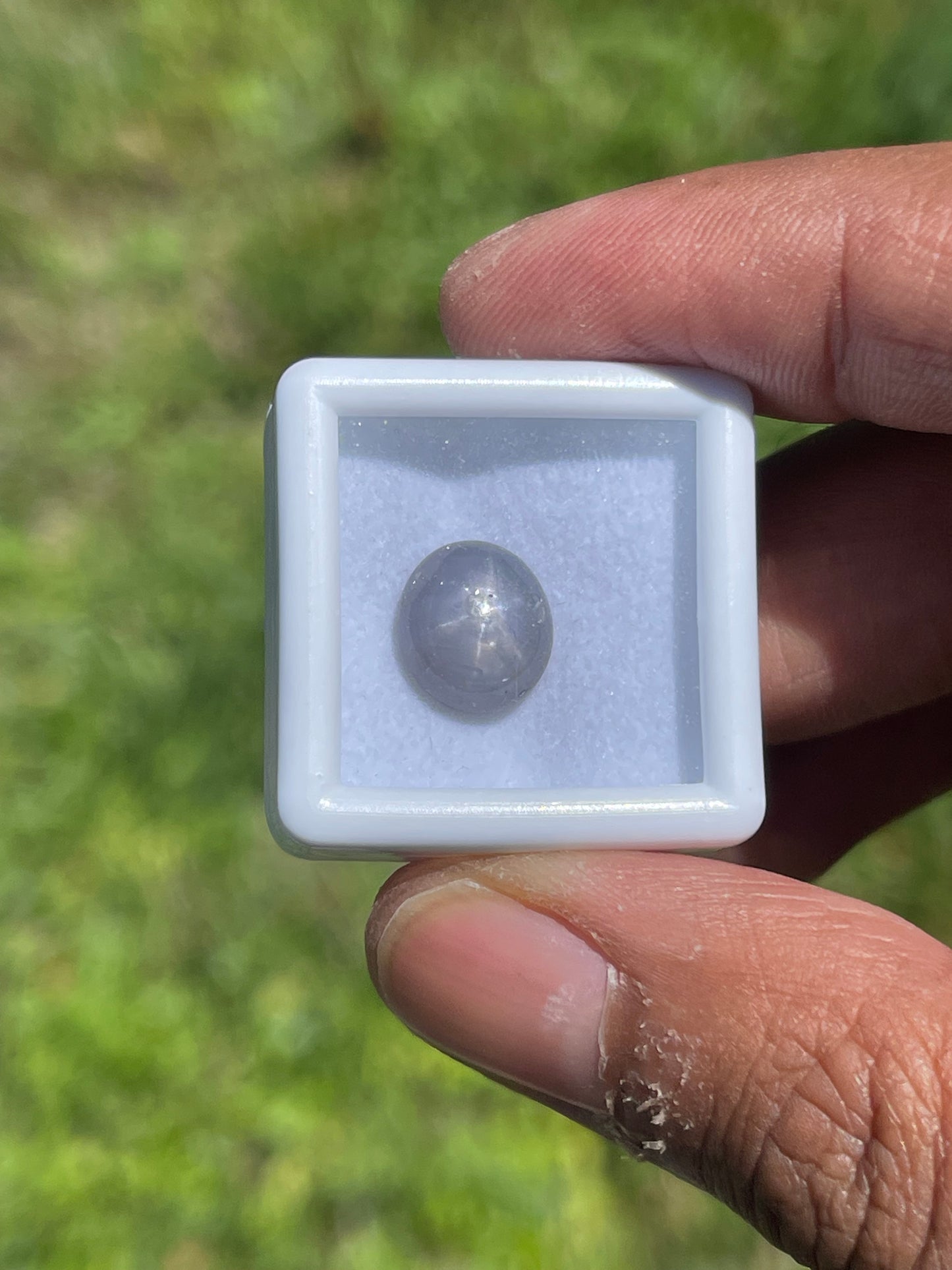 5.92 Carat Natural Star Sapphire Cabochon Cut Loose Gemstone (10.8 x 9.5 x 4.9 MM)