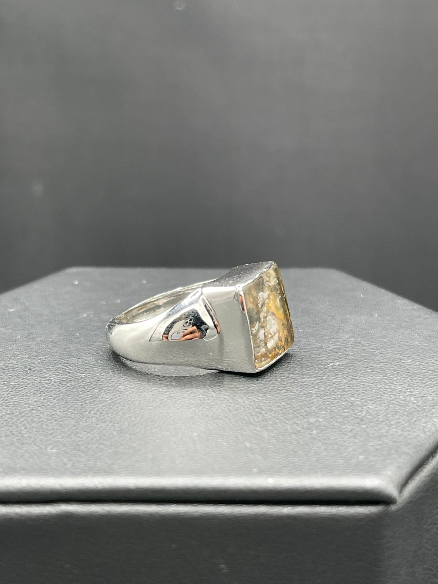 Natural Dendritic Quartz Sterling Silver Ring (Size 9)