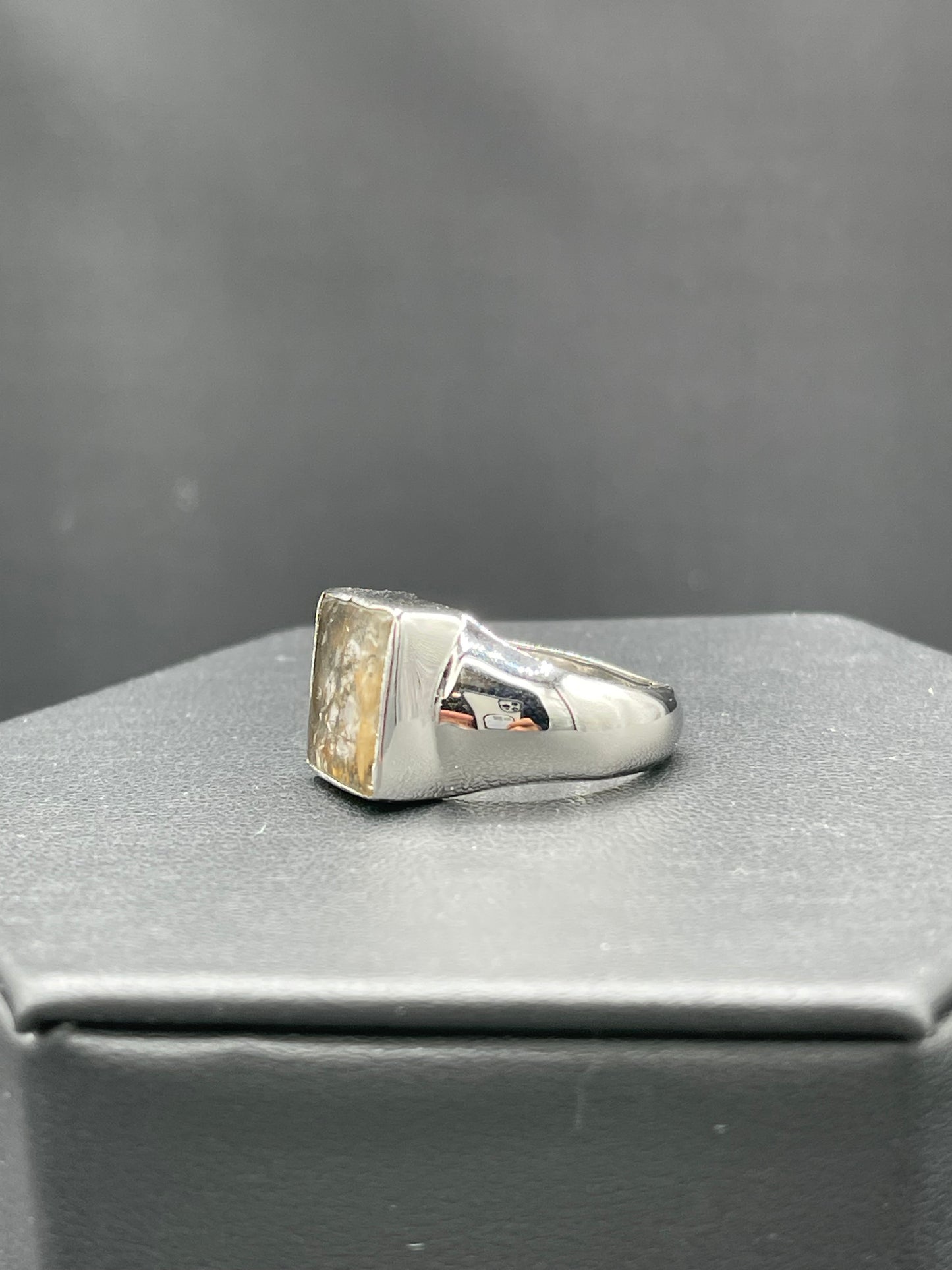 Natural Dendritic Quartz Sterling Silver Ring (Size 9)
