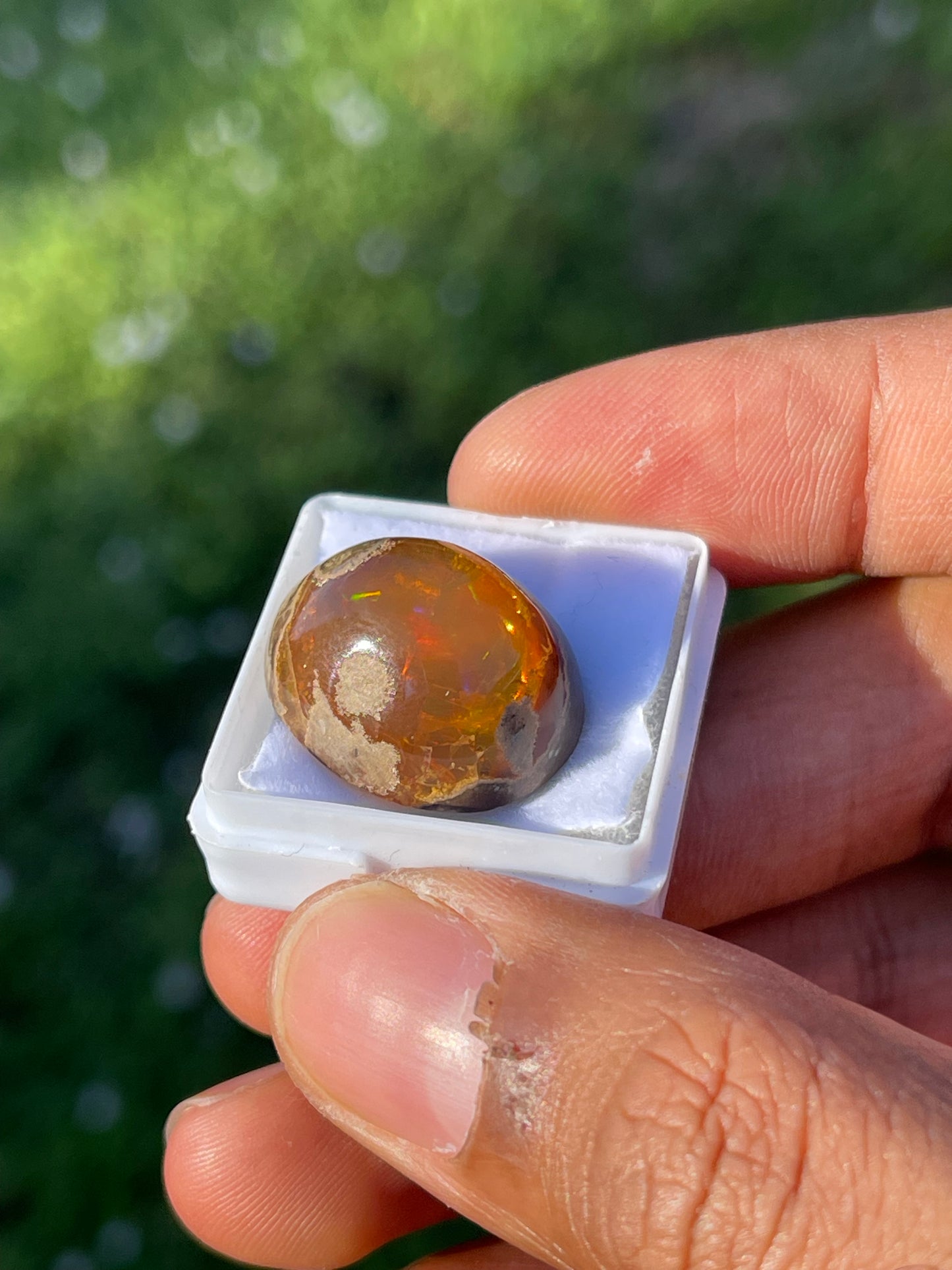 25.00 Carat Natural Mexican Opal Cabochon Cut Loose Gemstone (21.8 x 16 x 11.8 MM)