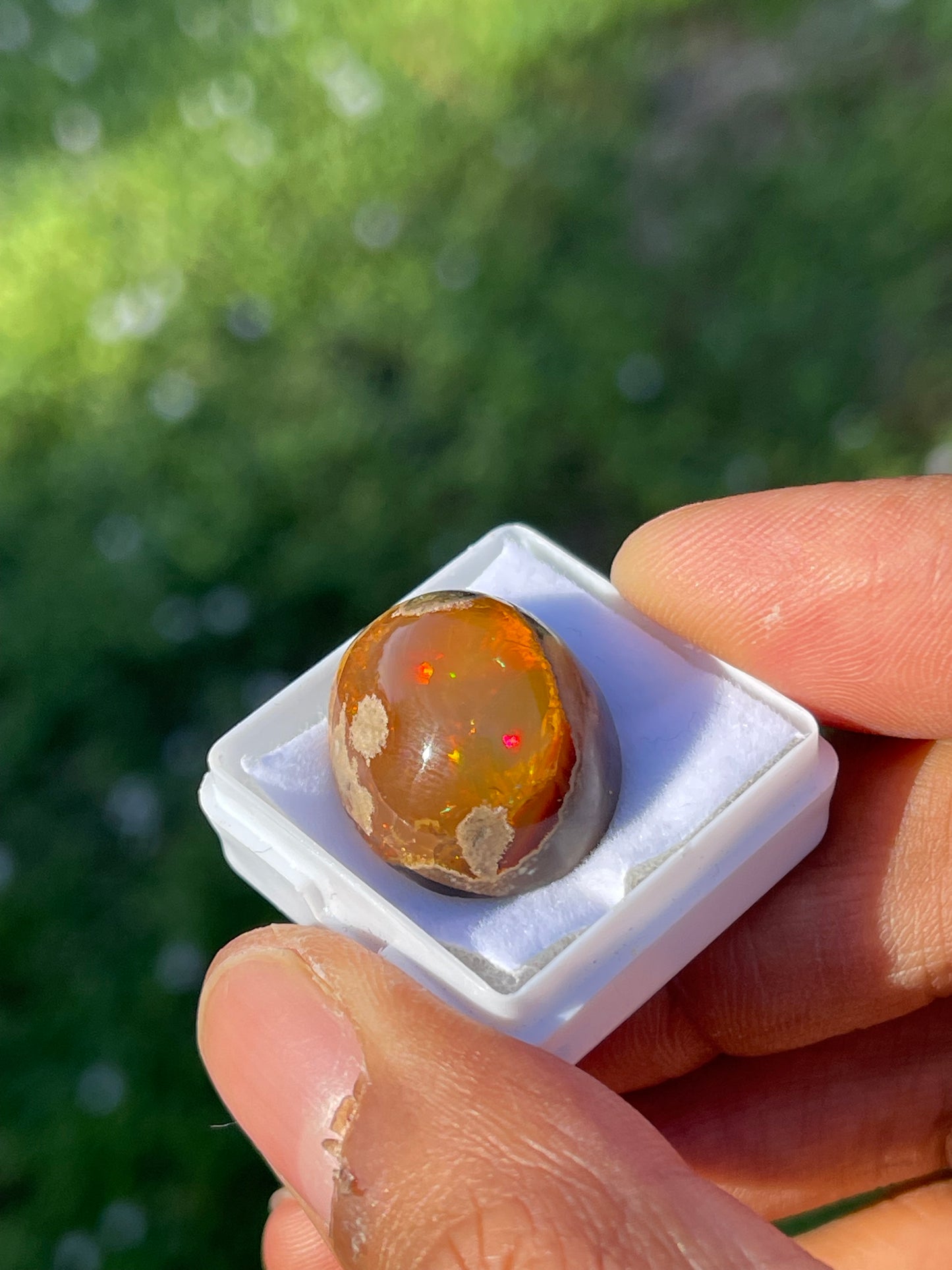 25.00 Carat Natural Mexican Opal Cabochon Cut Loose Gemstone (21.8 x 16 x 11.8 MM)