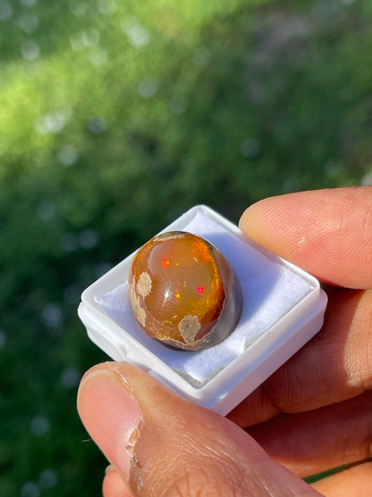 25.00 Carat Natural Mexican Opal Cabochon Cut Loose Gemstone (21.8 x 16 x 11.8 MM)
