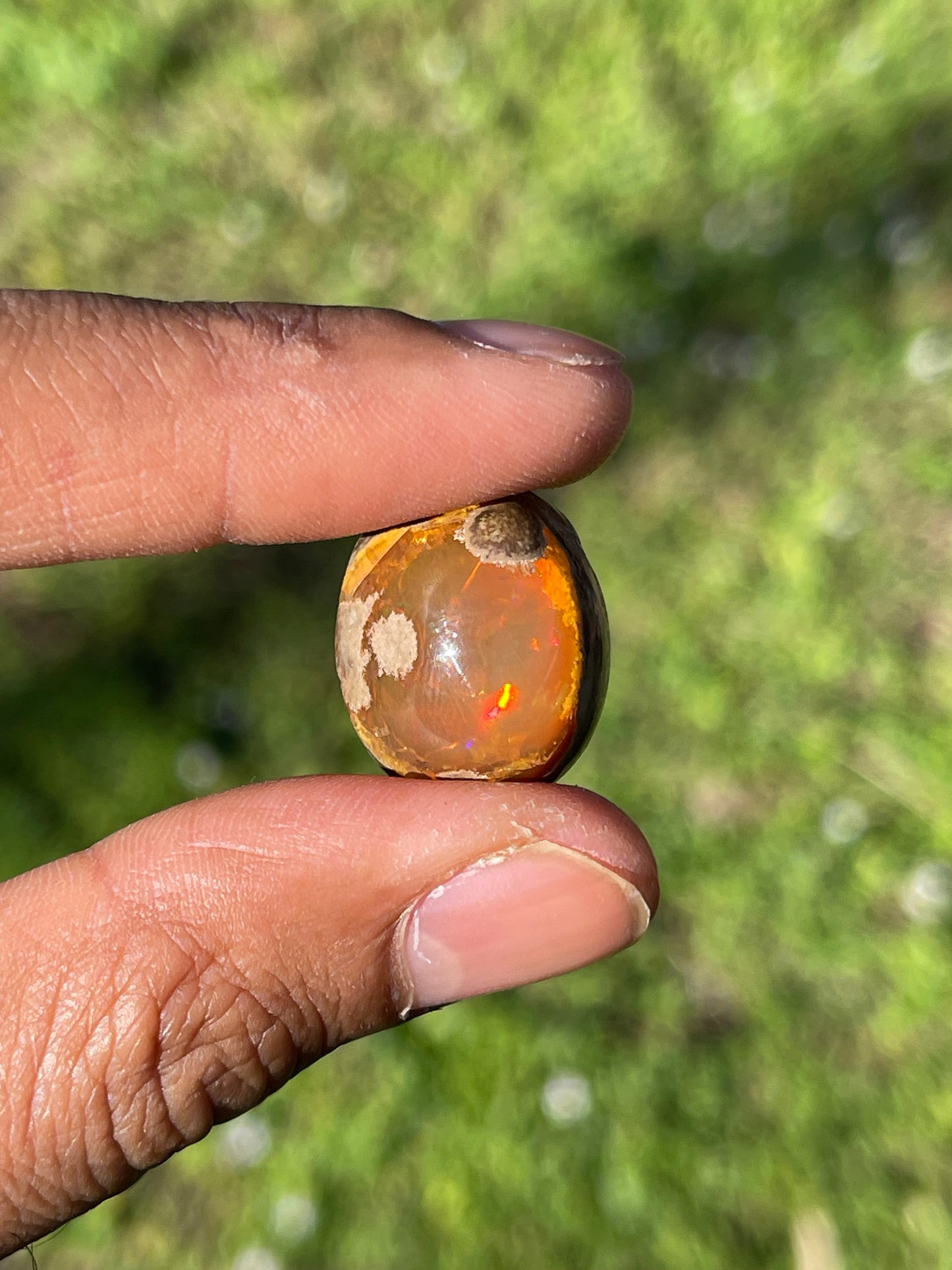 25.00 Carat Natural Mexican Opal Cabochon Cut Loose Gemstone (21.8 x 16 x 11.8 MM)