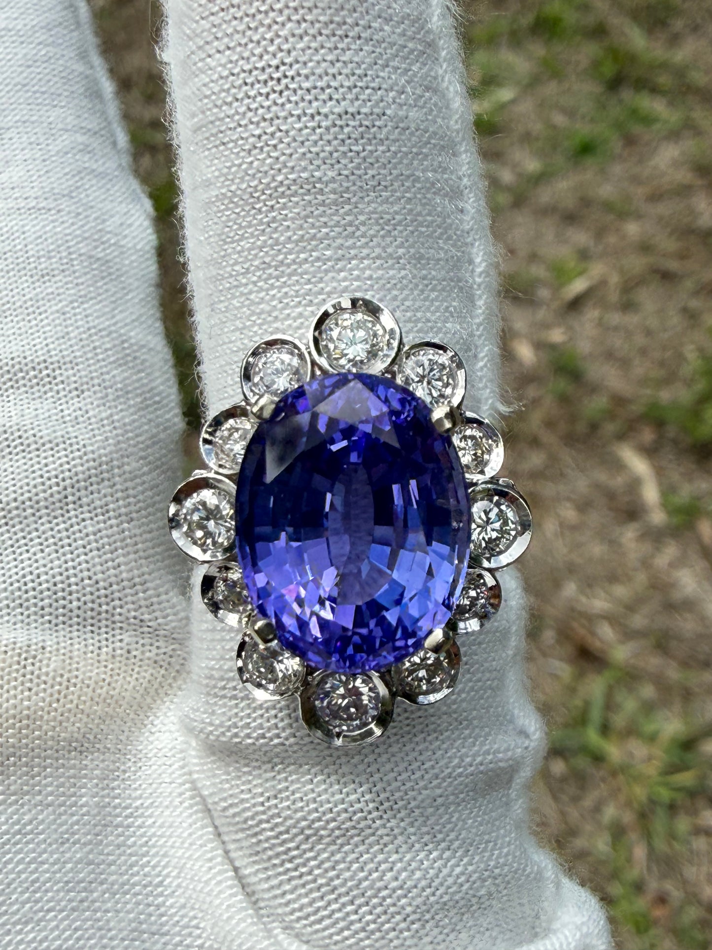 14.00 CTW Natural Tanzanite & Diamond Halo 14K White Gold Ring | Size 6.25