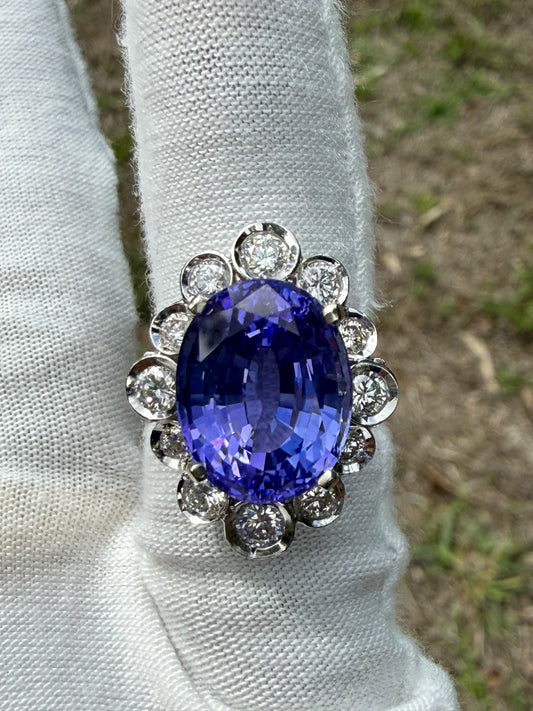 14.00 CTW Natural Tanzanite & Diamond Halo 14K White Gold Ring | Size 6.25